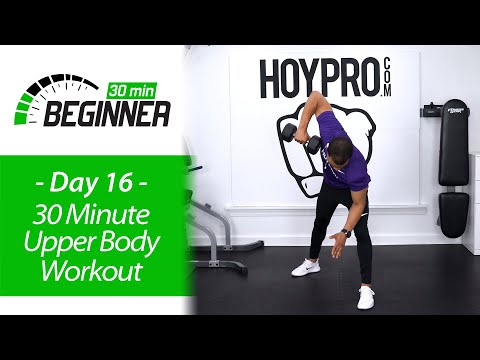 30 MIN BEGINNER Arms at Home Upper Body Workout | BEGINNERS 16