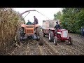 Ensilage 2017 avec des tracteurs d'époques Someca,Fiat,International,MCCormick IH New Holland