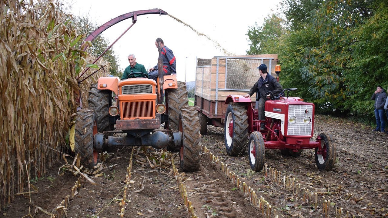 Ensilage 2017 avec des tracteurs d'époques Someca,Fiat,International,MCCormick IH New Holland
