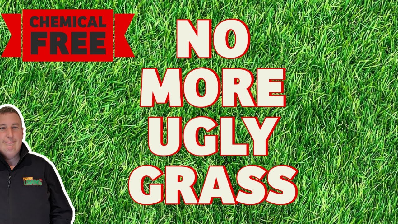 How to get rid of weed grass in your lawn Without Chemicals and