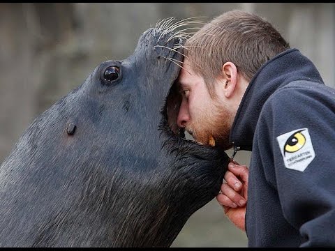 Animals in zoo in Tiergarten Schonbrunn (Vienna) camera iphone 8 plus apk