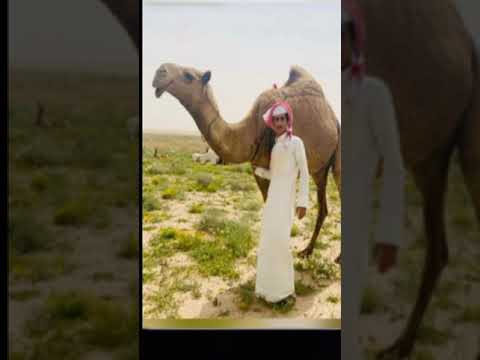 يابو عبدالله نزلنا وسط فيضة 