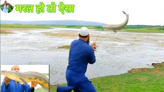  Big big saez snakehead fish//monsttar snakehead machli ka shikar 