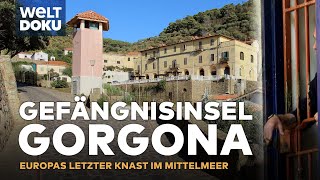EUROPAS LETZTE GEFÄNGNISINSEL: GORGONA - Italiens Knast im idyllischen Mittelmeer | WELD HD DOKU