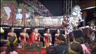 Story WA 'wong wedok dancok'
