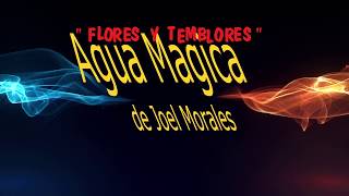 JOEL MORALES &quot;FLORES Y TEMBLORES&quot;