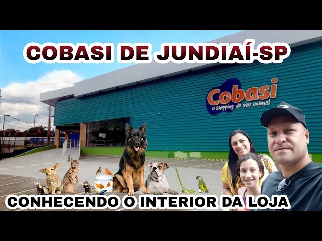 Animais abandonados em Jundiaí recebem ajuda da Cobasi