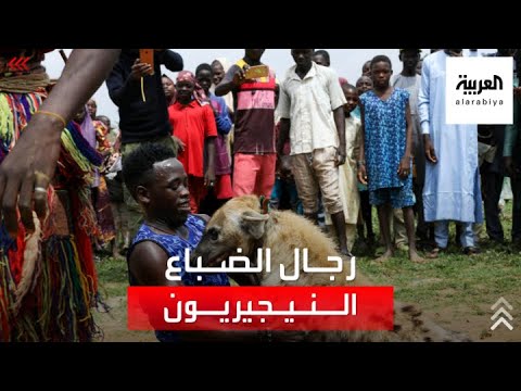 رجال الضباع في نيجيريا صداقة وألفة مع هذه الحيوانات الشرسة