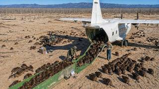 The U.S. Reintroduced Beavers to Fire-Ravaged Land — What Happened Next Was Unbelievable