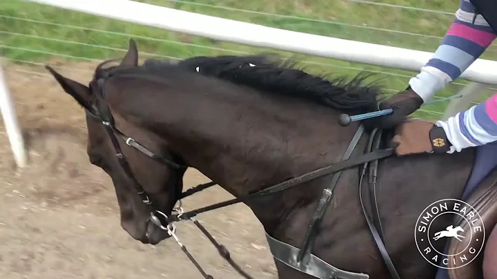 Kilkeaskin Molly on the hill gallop at Simon Earle...