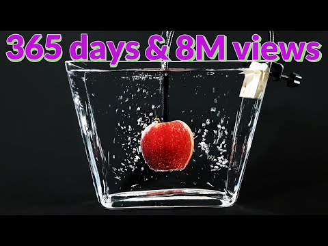 ? Apple In Water For 365 Days