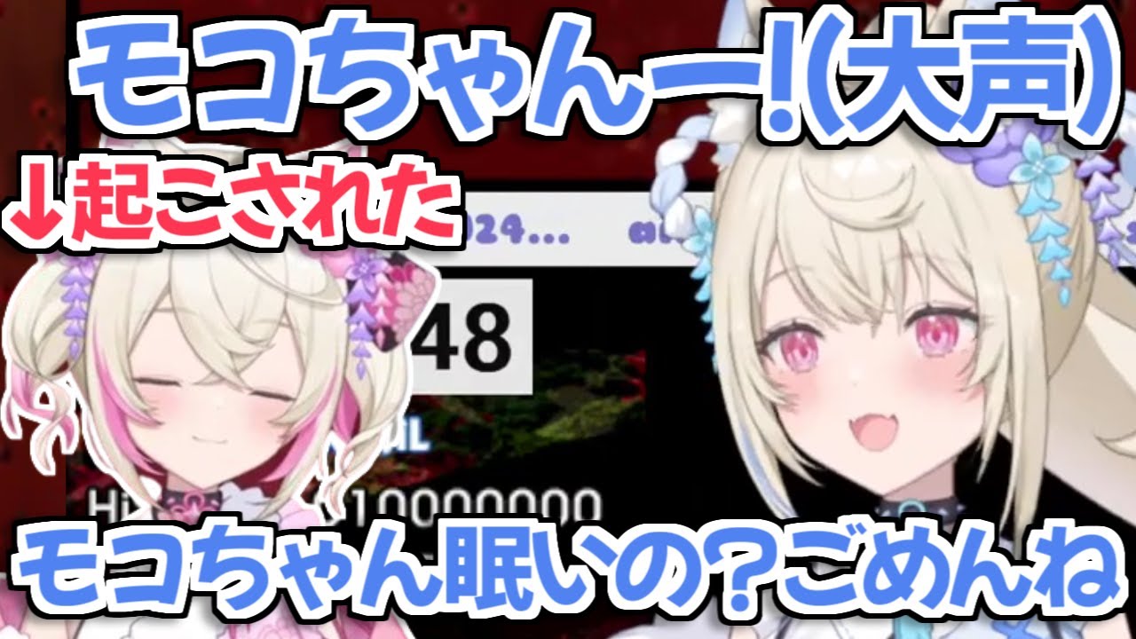【ホロライブ切り抜き】大声でモコちゃんを呼んだら寝てるモコちゃんを起こしちゃったフワワちゃん【FUWAMOCO フワモコ】