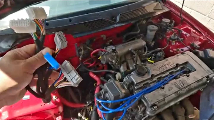 Budget Tucked engine harness 1st Impression!