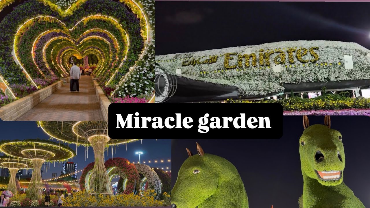 Miracle Garden Dubai 2026🌷 night views (part 2)#dubaimiraclegarden #dubai #flowers #dubaivlog 