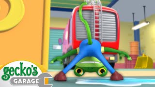 Downward Facing Gecko | Gecko's Garage | Moonbug Kids - Play and Learn by Moonbug Kids Play and Learn 30,791 views 3 weeks ago 1 hour, 16 minutes