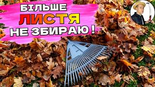 картинка: ЧУДОВЕ РІШЕННЯ - Опале листя тепер не збираю, а сад отримує користь!