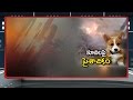 Shocking video of boys burning puppies in Musheerabad