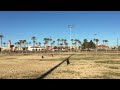 Remote Training - 3 dog remote sit using whistle