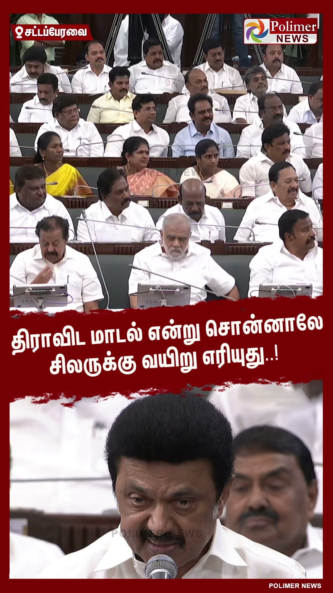திராவிட மாடல் என்று சொன்னாலே சிலருக்கு வயிறு எரியுது..! #shorts