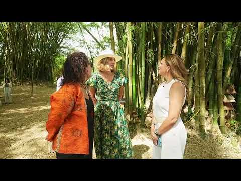 Unidos por la Naturaleza: Acuerdo entre Grupo Piñero, Fundación Eco Bahía y el Jardín Botánico”