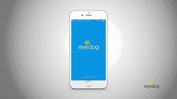 EyeDog