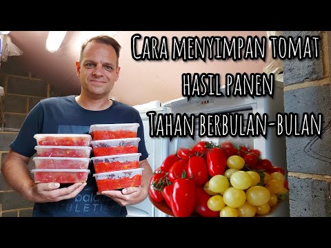 Video: Resep Untuk Memanen Tomat Untuk Musim Dingin