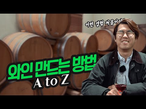 와인을 만드는 방법 AtoZ 포도부터 술이되기까지 어떻게???