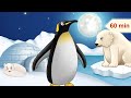 Arctic Animals and Relaxing Music for Children | Polar & Snow Animals | Relaxing Music for Kids