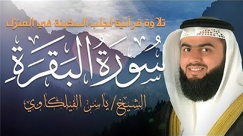 سورة البقرة - تلاوة مباركة بصوت الشيخ  ياسر الفيلكاوي