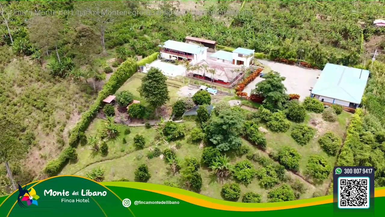 #destinos #citytv desde Finca Monte del Libano domingo #quindio #colombia