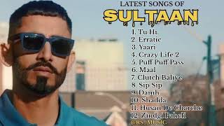 Sultaan all new songs 2024 || Latest panjabi songs 2024 || Sultaan Audio jukebox 2024.