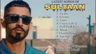 Sultaan all new songs 2024 || Latest panjabi songs 2024 || Sultaan Audio jukebox 2024.