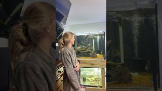 Inside Our 300 Gallon Monster Fish Tank Feeding Frenzy!