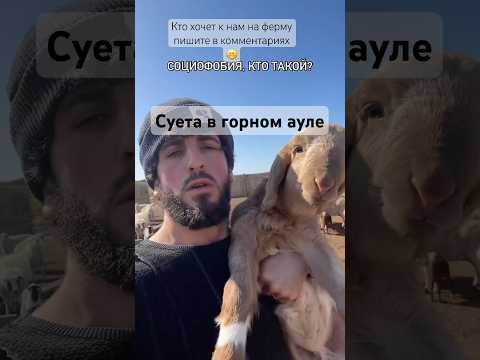 Фермер и его животные #животные #кошка #shortvideo #cat #short