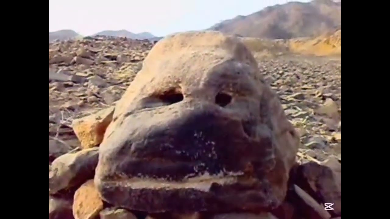 صخرة أثرية رأس الغوريلا إكتشاف تصوير وتعليق : أبوعبدالعزيز جازان /السعودية . 