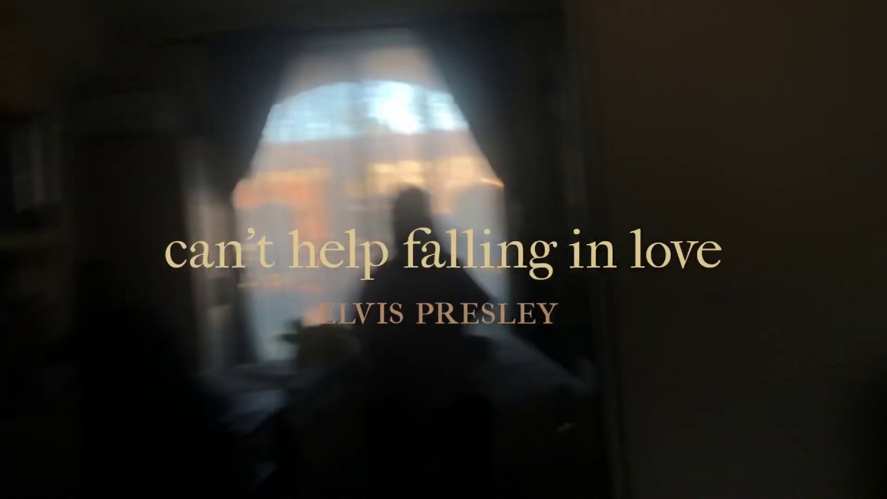 can’t help falling in love (acapella cover) YouTube