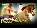 DOMANDO O CRIOULO GAÚCHO! | RICHARD RASMUSSEN