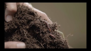 What is Regenerative Agriculture?