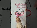 تمرين كيجل للبروستاتا صحة علاج اكسبلور هرمونات رياضة رجل