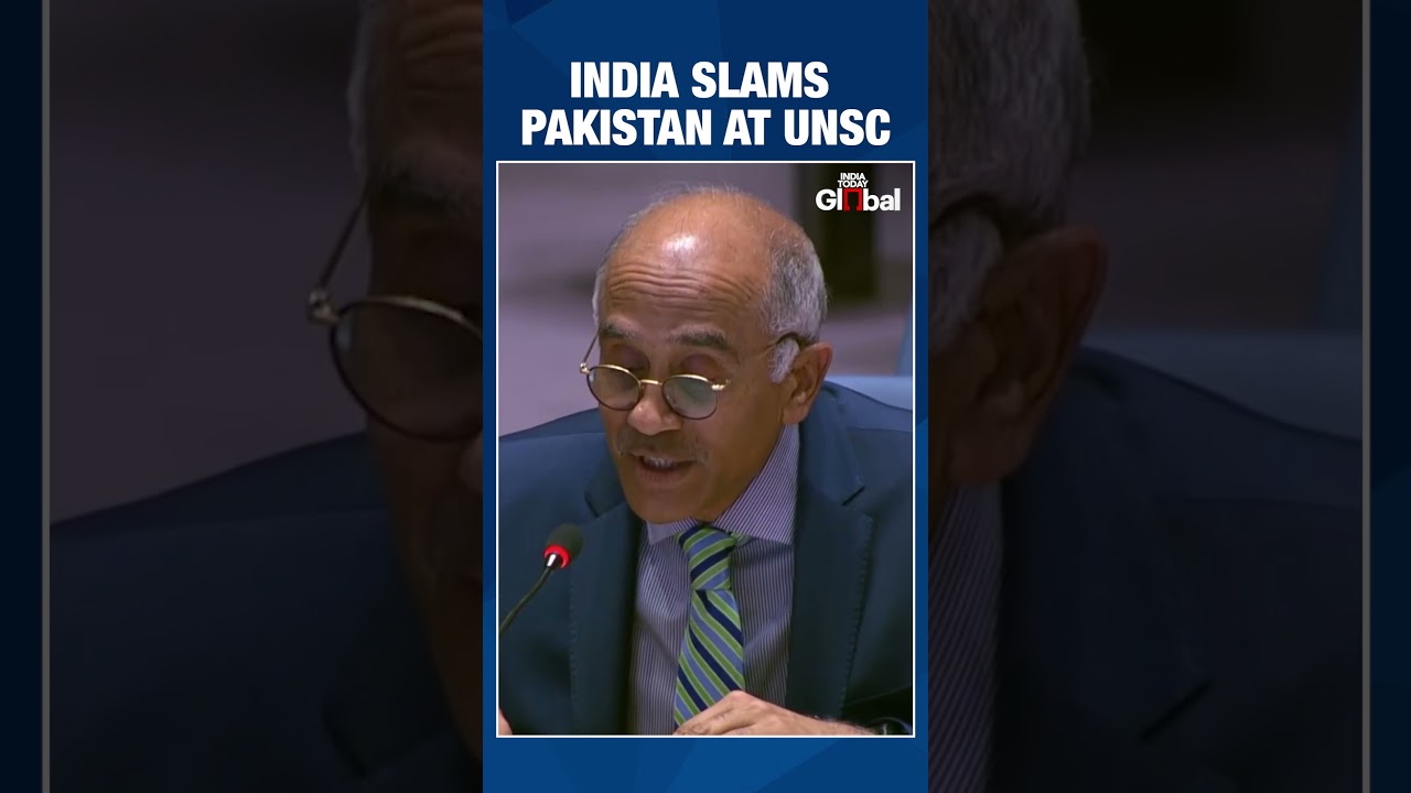 Stop LeT, JeM From Using Afghan Soil for Terror Operations: India Slams Pak at UNSC | 