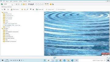 FIX ERROR 06218 SAP MM