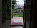 Ini baru Bandung, adem & sejuk #shorts #fyp #bandung #sejuk #adem #bandungtiris