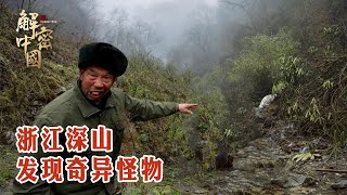 Zhejiang mountains found monsters, the country after the discovery of a ban on outsiders!