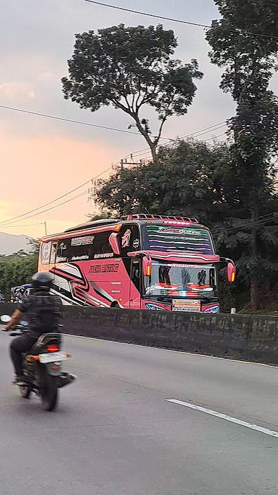 Tet tot tet tot tet totπππ #basuri #busmania #telolet #shorts #automobile