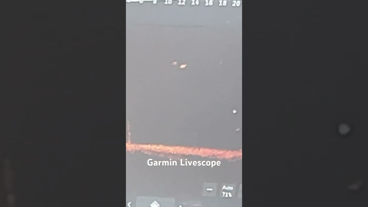 Garmin Livescope is crazy!