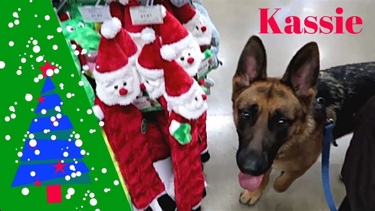 GERMAN SHEPHERD CHRISTMAS SHOPPING