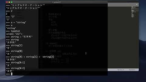 【Python入門講座】第2回  2-2  データ型の確認【データサイエンス講座発売記念！一部公開】