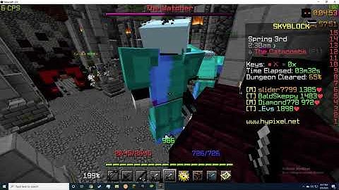 Hypixel Skyblock Bug? (I think)