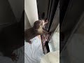 This Otter Eats the Rain?!