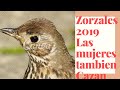 Zorzales 2019!!LAS MUJERES TAMBIEN CAZAN pareja onubense!!